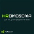 HRomosoma - подкаст о рекрутменте и HR