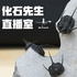 化石先生