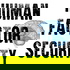 Human Factor Security