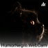 Humornegro.Webcam