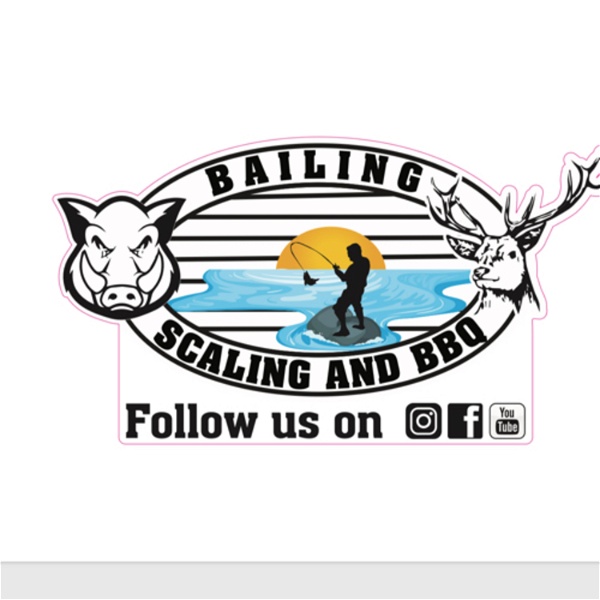 Artwork for Bailing Scaling and BBQ