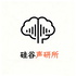 硅谷声研所