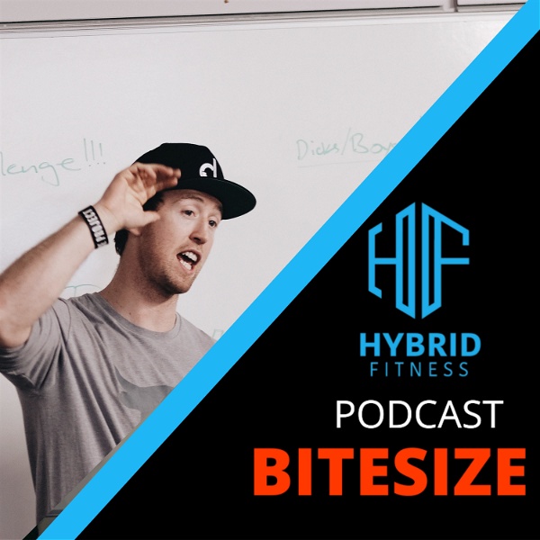 Artwork for Hybrid Fitness Podcast Bitesize