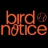 Bird Notice: A Baltimore Orioles Podcast