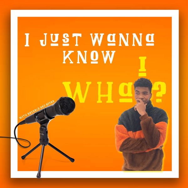 Artwork for I Just Wanna Know Whai?