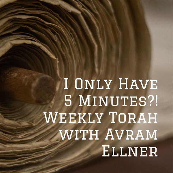 Artwork for I Only Have 5 Minutes?! Weekly Torah with Avram Ellner