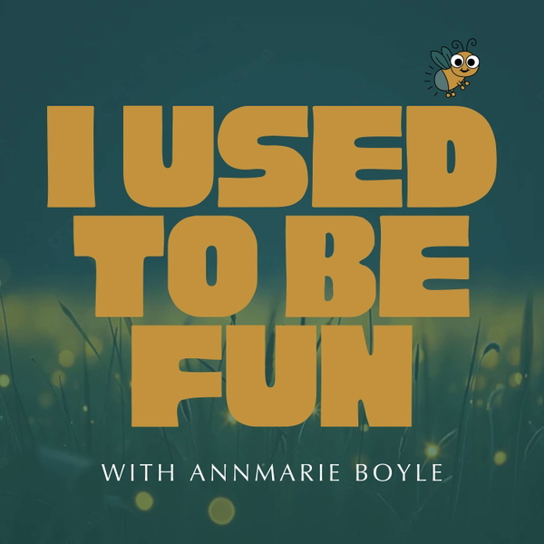 Artwork for I Used to Be Fun