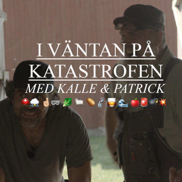 Artwork for I väntan på katastrofen