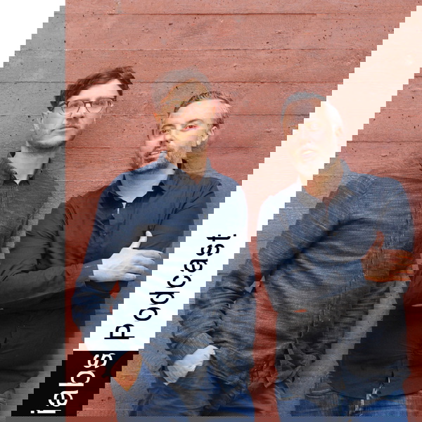 Artwork for IABS-Podcast