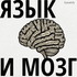Язык и мозг