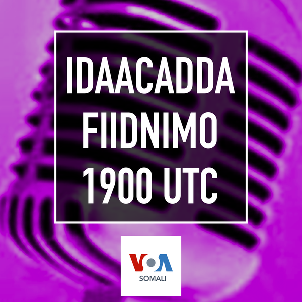 Artwork for Idaacadda Fiidnimo
