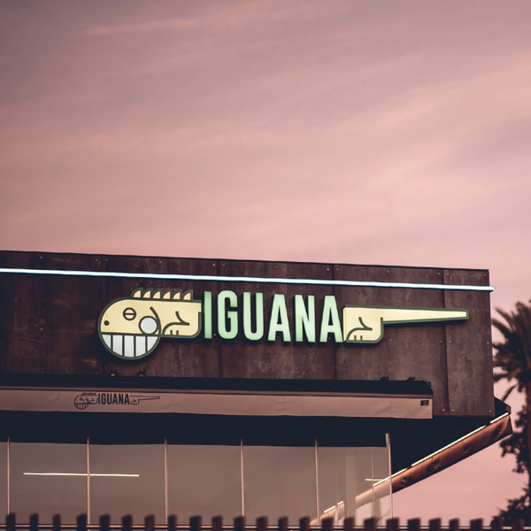 Artwork for Iguana Sunset