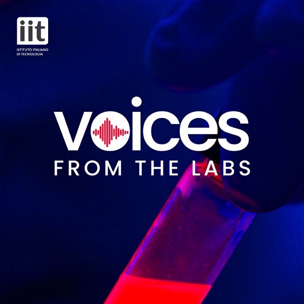 Artwork for Voices from the labs