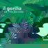 Il gorilla ce l'ha piccolo