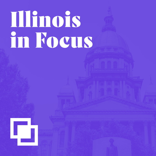 Artwork for Illinois in Focus