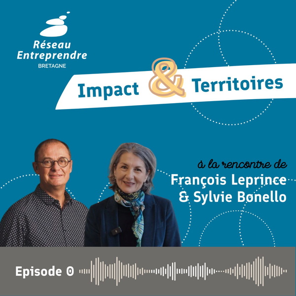 Artwork for Impact & Territoires