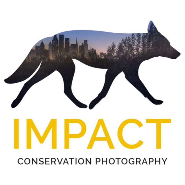 Artwork for Impact: The Conservation Photography Podcast