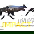 Impact: The Conservation Photography Podcast
