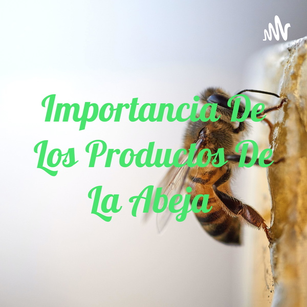 Artwork for Importancia De Los Productos De La Abeja 🐝