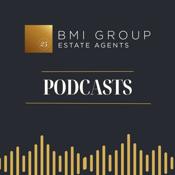 Artwork for BMI Group