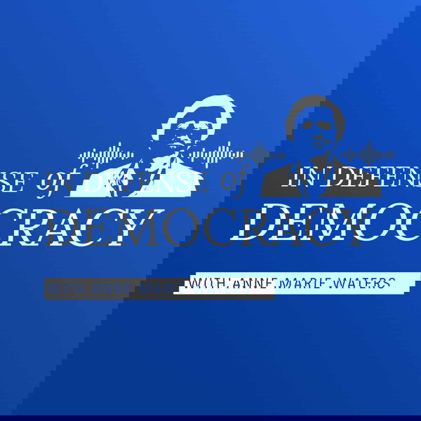 Artwork for In Defense of Democracy Podcast