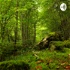 In the Large wild forest -SURVIVE-