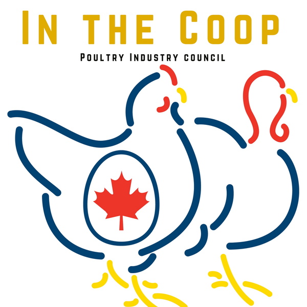 Artwork for In The Coop