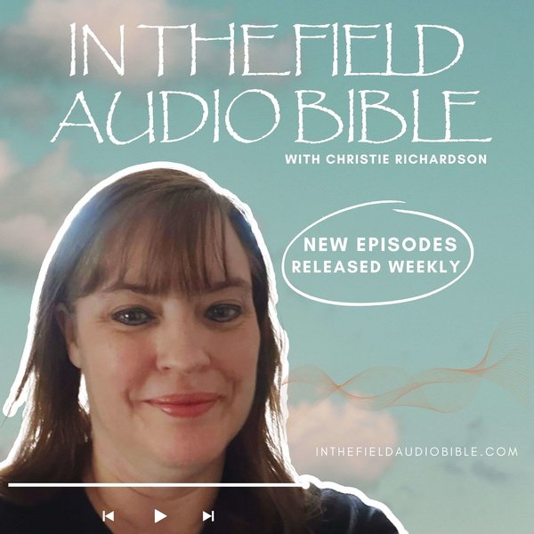 Artwork for In the Field Audio Bible