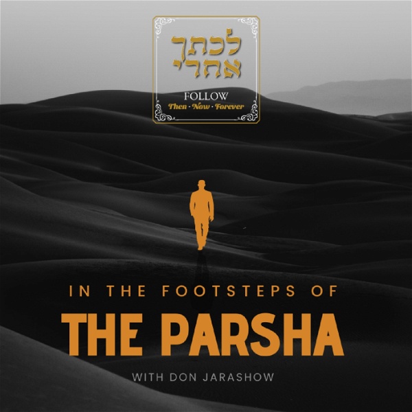 Artwork for In The Footsteps Of The Parsha