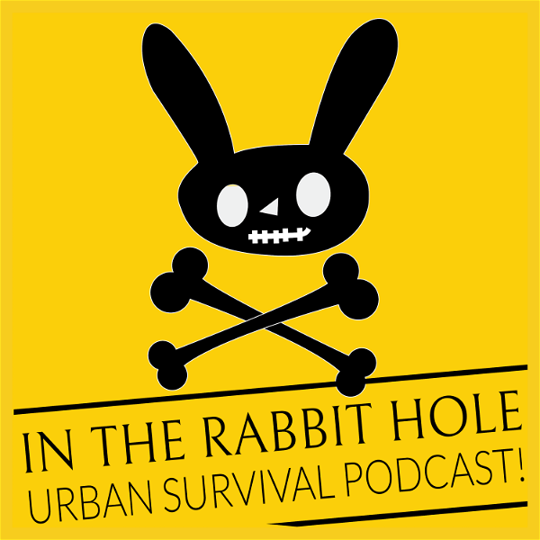 Artwork for In The Rabbit Hole
