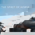 In the Spirit of Horse