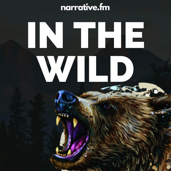 Artwork for In The Wild