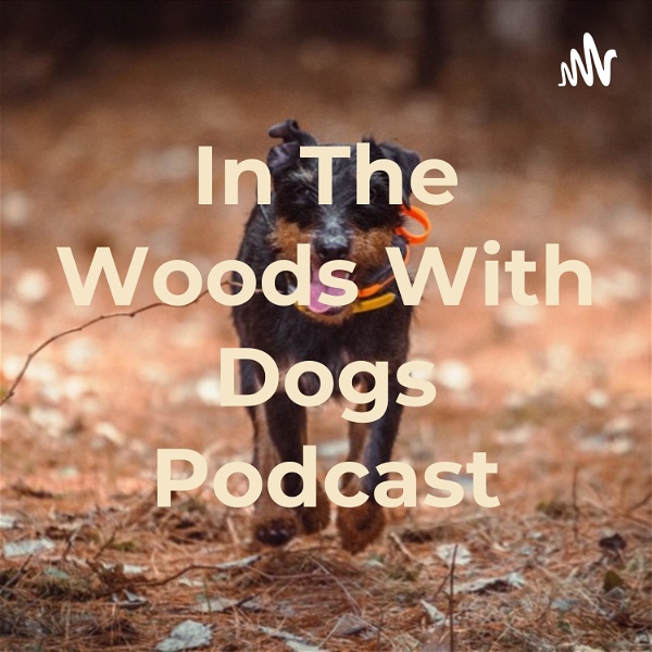 Artwork for In The Woods With Dogs Podcast