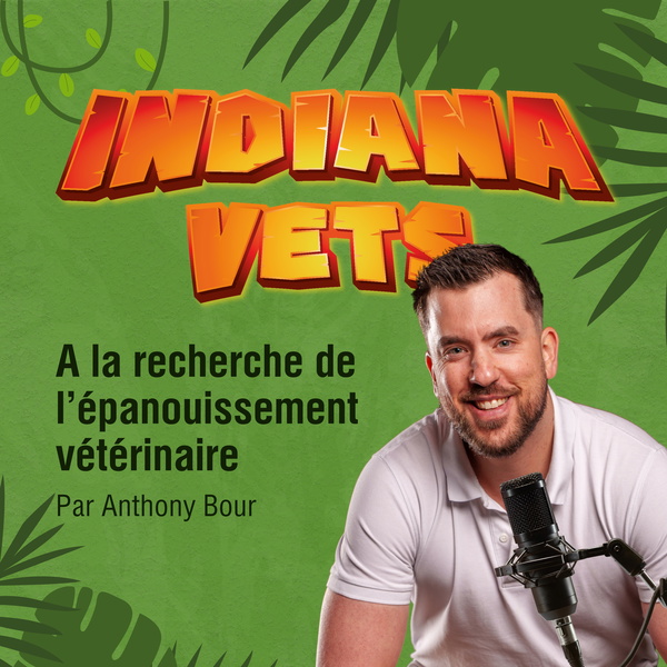 Artwork for Indiana Vets