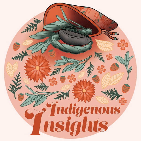 Artwork for Indigenous Insights: An Evaluation Podcast