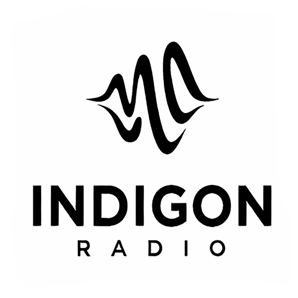 Artwork for Indigon Radio: The Business of Creative Power