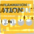 Inflammation Nation