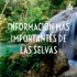 INFORMACIÓN MÁS IMPORTANTES DE LAS SELVAS
