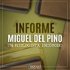 Informe Miguel del Pino