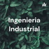 Ingenieria Industrial