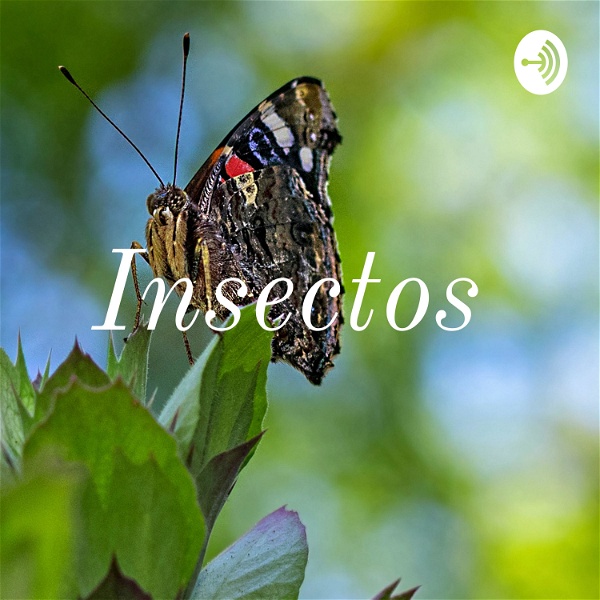 Artwork for Insectos