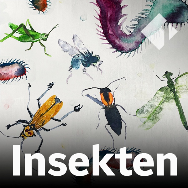 Artwork for Insekten