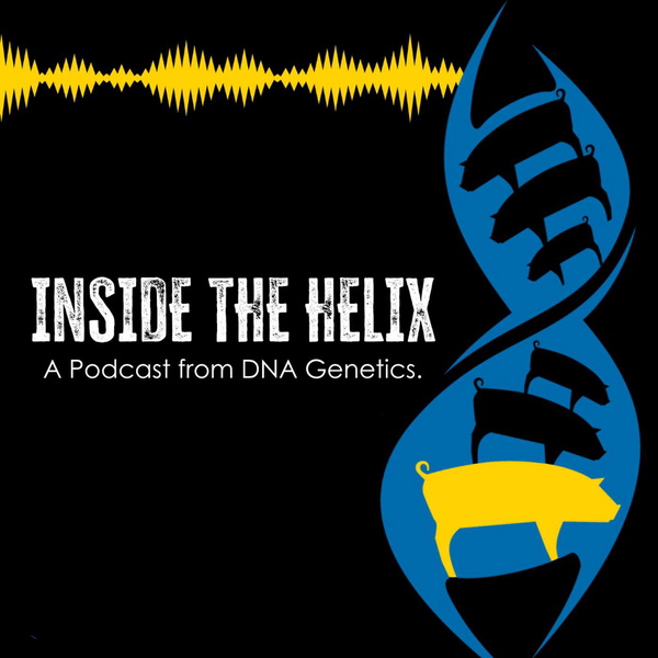Artwork for Inside the Helix