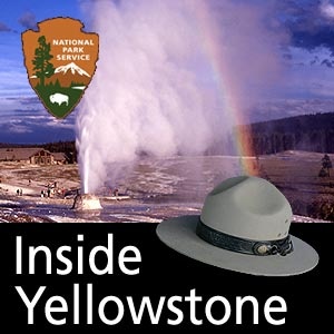 Artwork for Inside Yellowstone