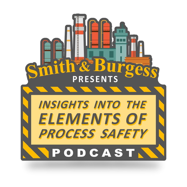 Artwork for Insight into the Elements of Process Safety