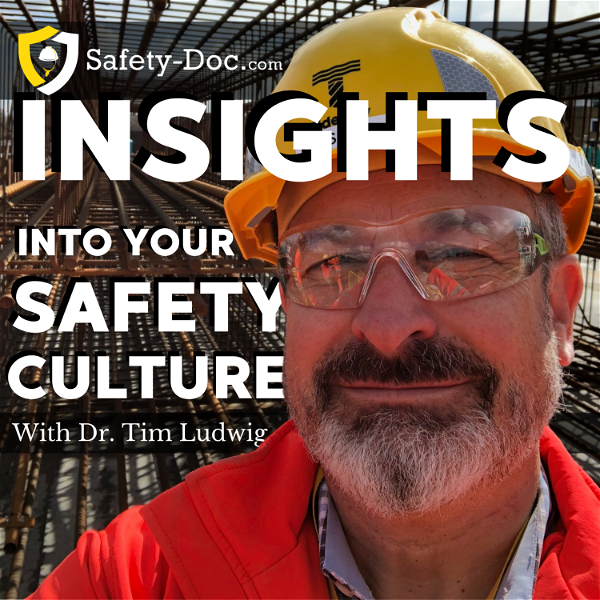 Artwork for Insights into Your Safety Culture