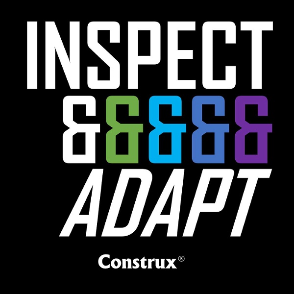 Artwork for Inspect and Adapt