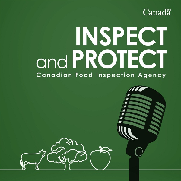 Artwork for Inspect and Protect