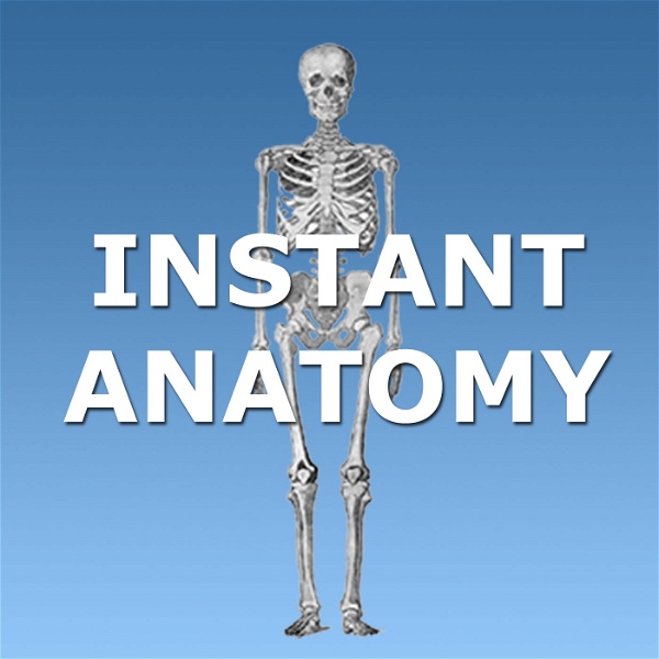 Artwork for Instant Anatomy