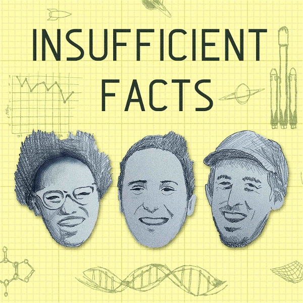 Artwork for Insufficient Facts